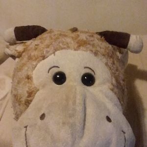 Meet your Posher, Ruth